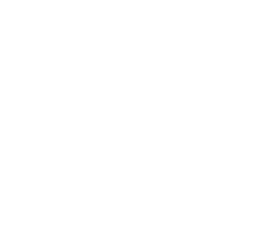 Drupal 10 white logo