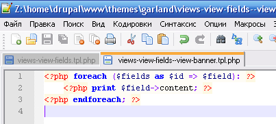 drupal template