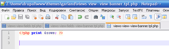 Drupal template