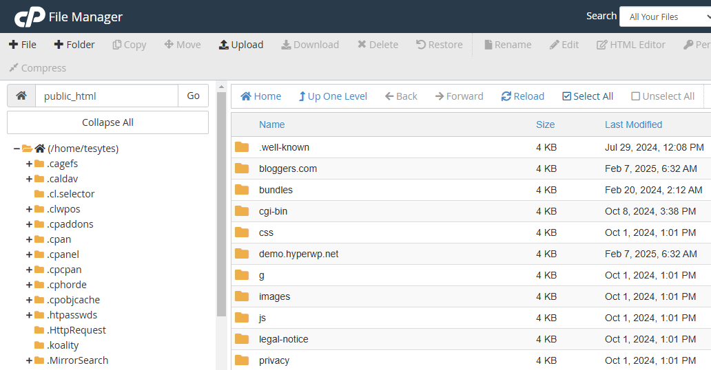 File Manager in cPanel