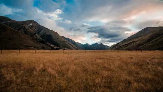 Drupal Fields API